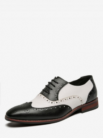 Oxfords Kengät Miehille Moderni Pyöreä Varvashihna Säädettävä Pu-nahka Wingtips Brogues