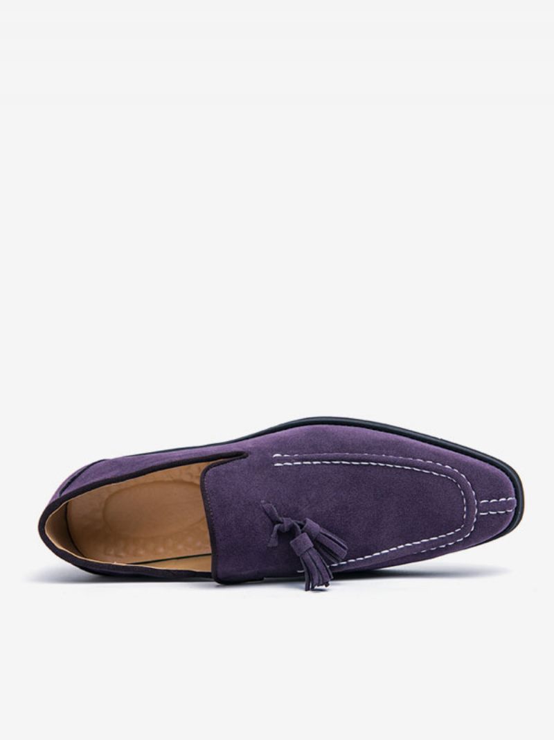 Loafer-kengät Miehille Pu-nahkainen Munkkihihna Slip-on Prom Party -kengät - Purppura