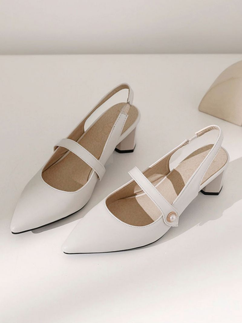 Naisten Slingback Heels Teräväkärki Mary Jane Chunky Heel Pumps Vintage-kengät - Beige